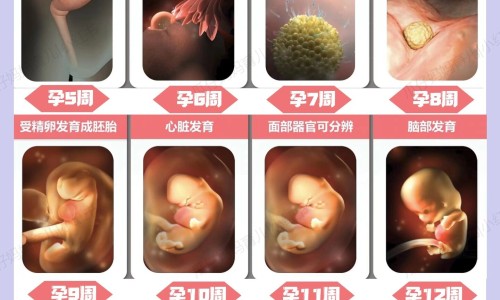 老年人能住15层楼吗-老人住十乘以上楼层好不好网老人可以住10层高层吗知识网站,分享老年人住几楼对身体好大全