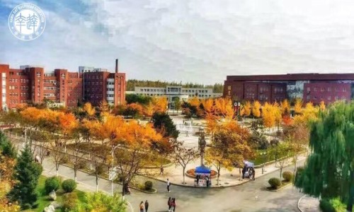 老年人能住15层楼吗-老人住十乘以上楼层好不好网老人可以住10层高层吗知识网站,分享老年人住几楼对身体好大全